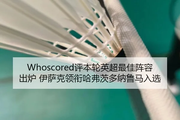 Whoscored评本轮英超最佳阵容出炉 伊萨克领衔哈弗茨多纳鲁马入选 | mksportsapp