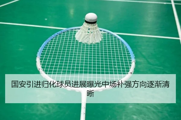 国安引进归化球员进展曝光中场补强方向逐渐清晰 | mksportsapp