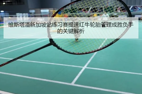 维斯塔潘新加坡站练习赛提速红牛轮胎管理成胜负手的关键解析 | mksportsapp